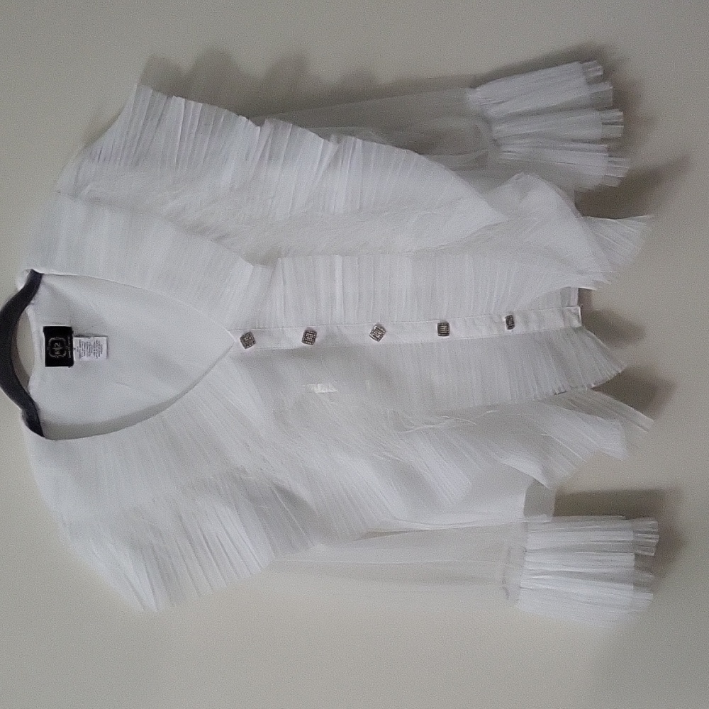 M/2 Ruffled Feathered Sheer Blouse